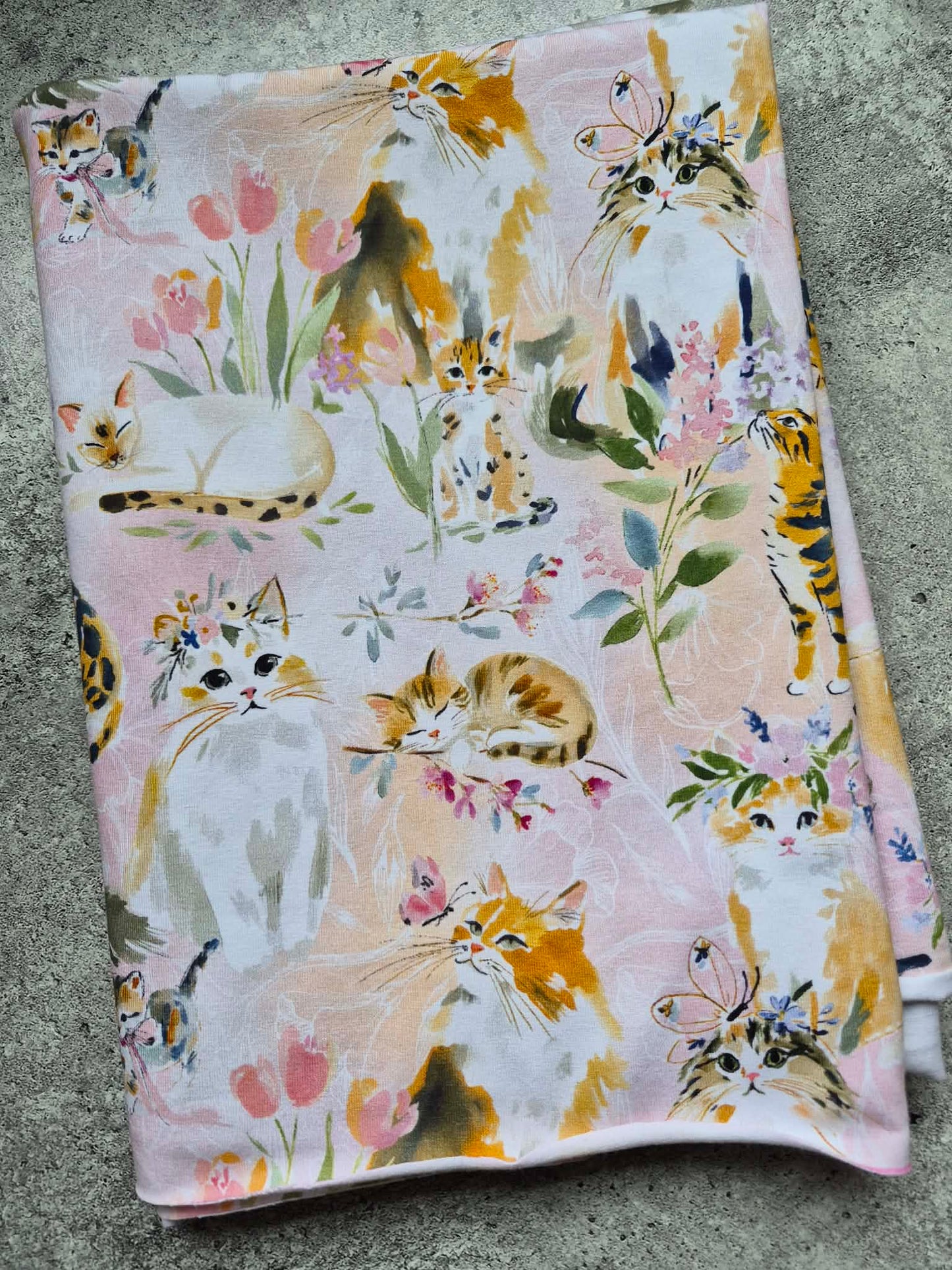 Chats (22'') CL260 BIO