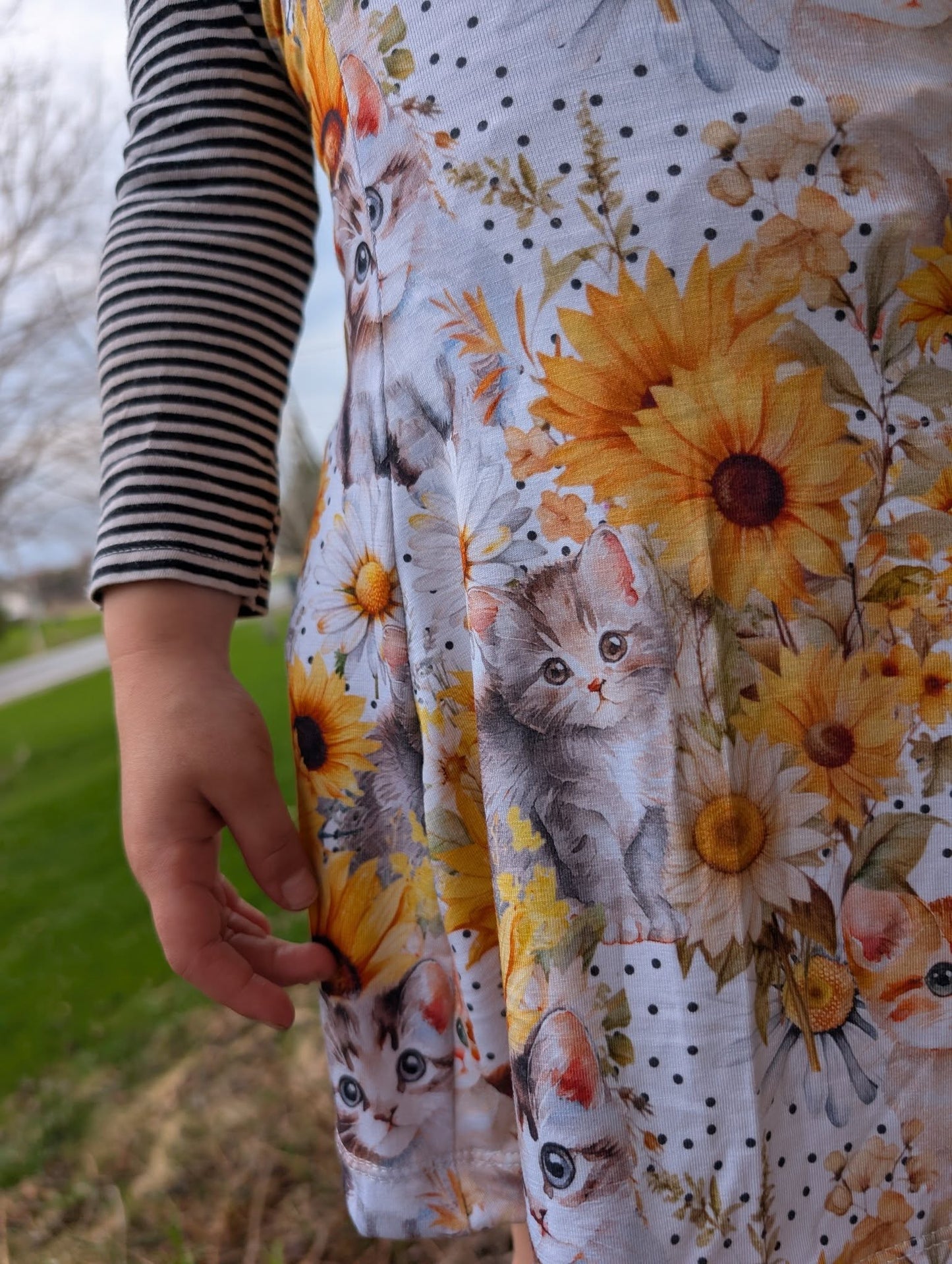 Chat tournesol