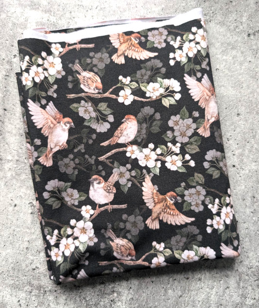 oiseau (17'')