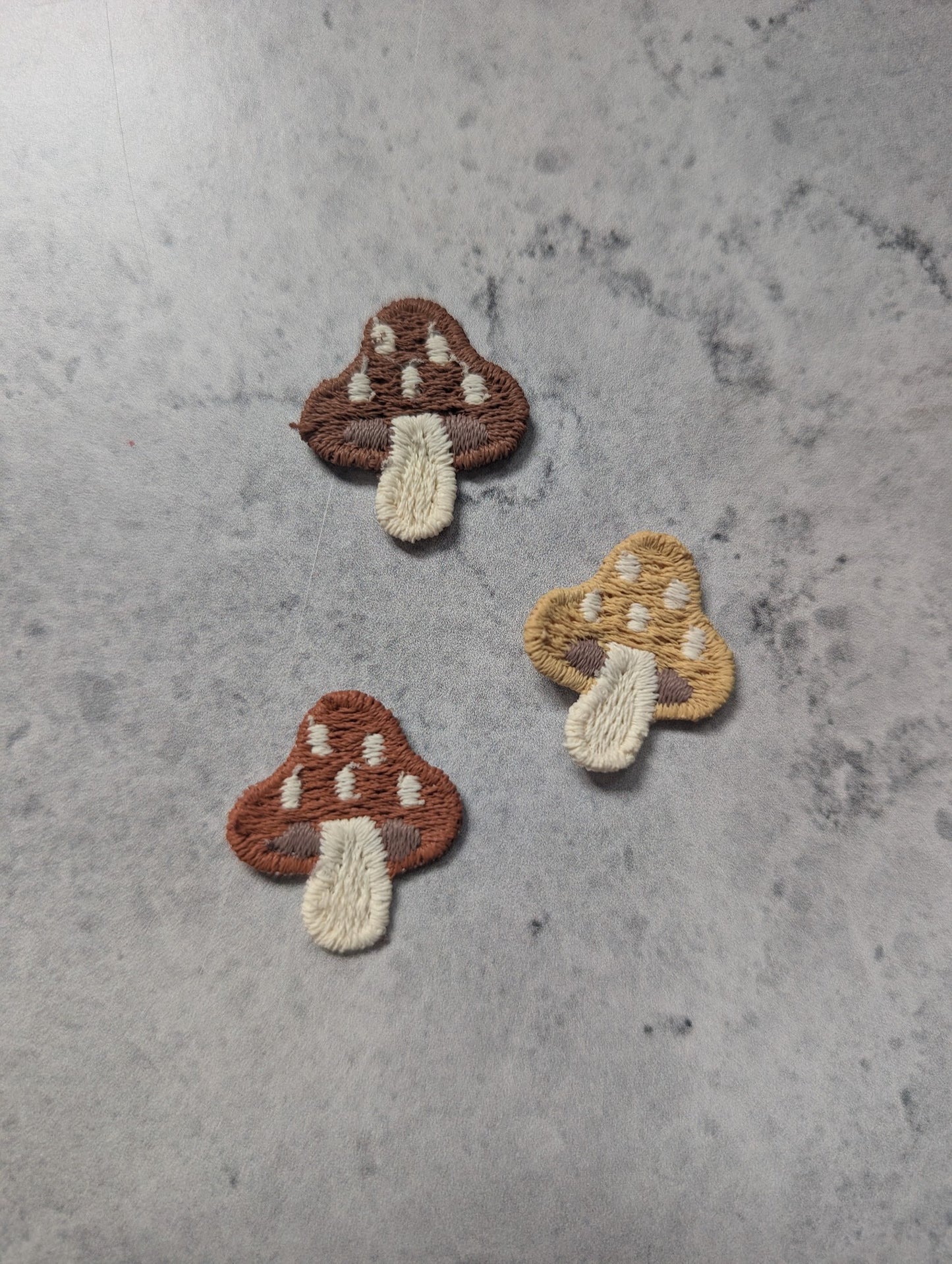 Petit champignon