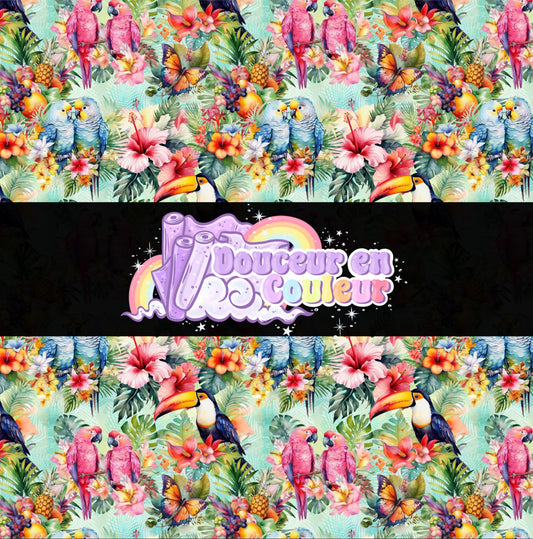 oiseaux tropicaux
