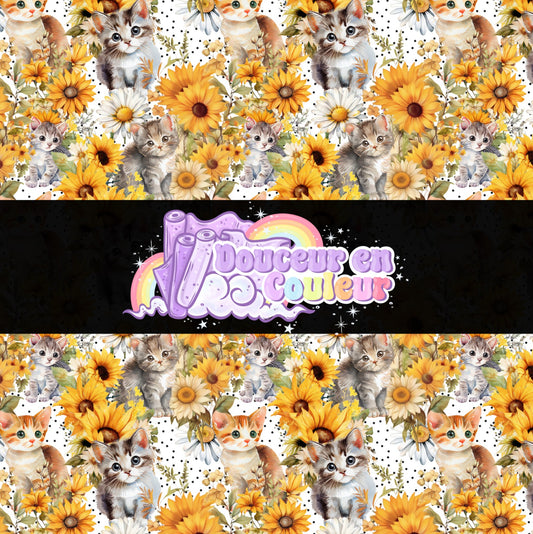 Chat tournesol