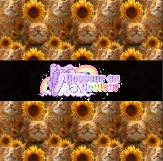L'heureux chat