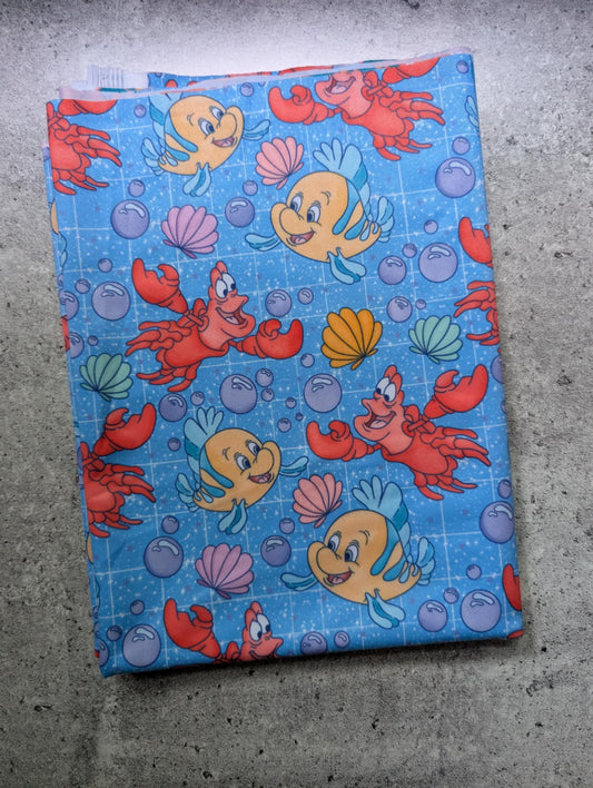 Les amis d'Ariel (1/2m) SWIM