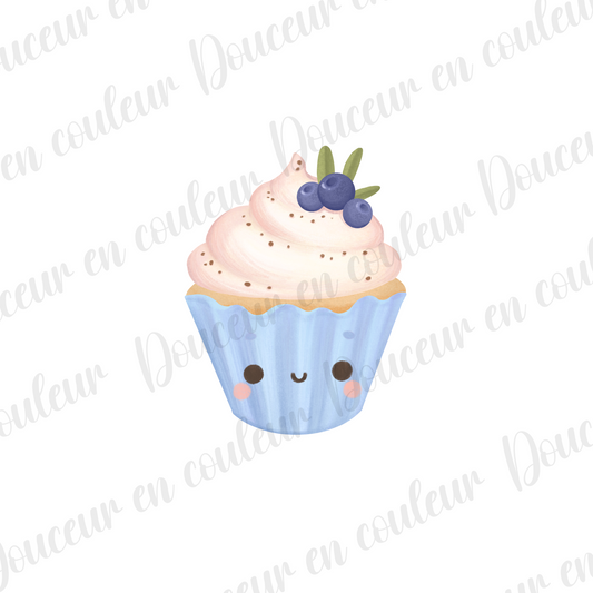 DTF 2,5 pouces