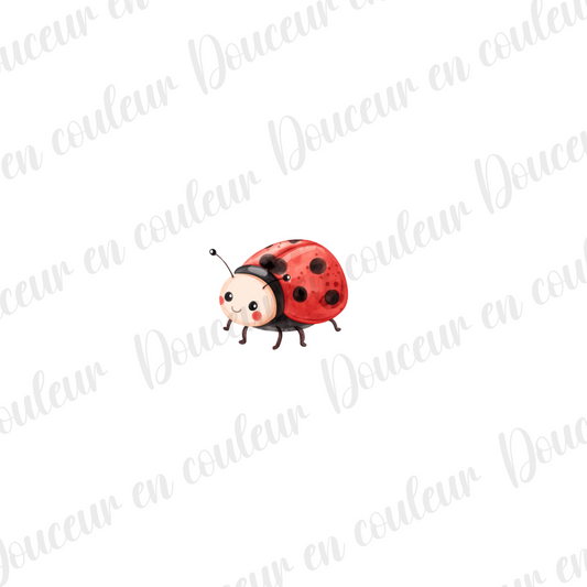 DTF 2,5 pouces