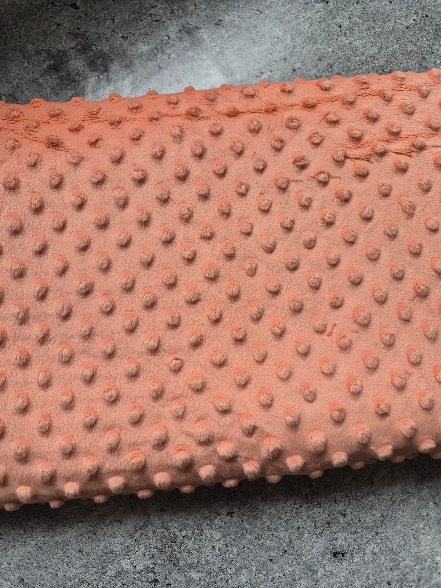Pêche (1m)