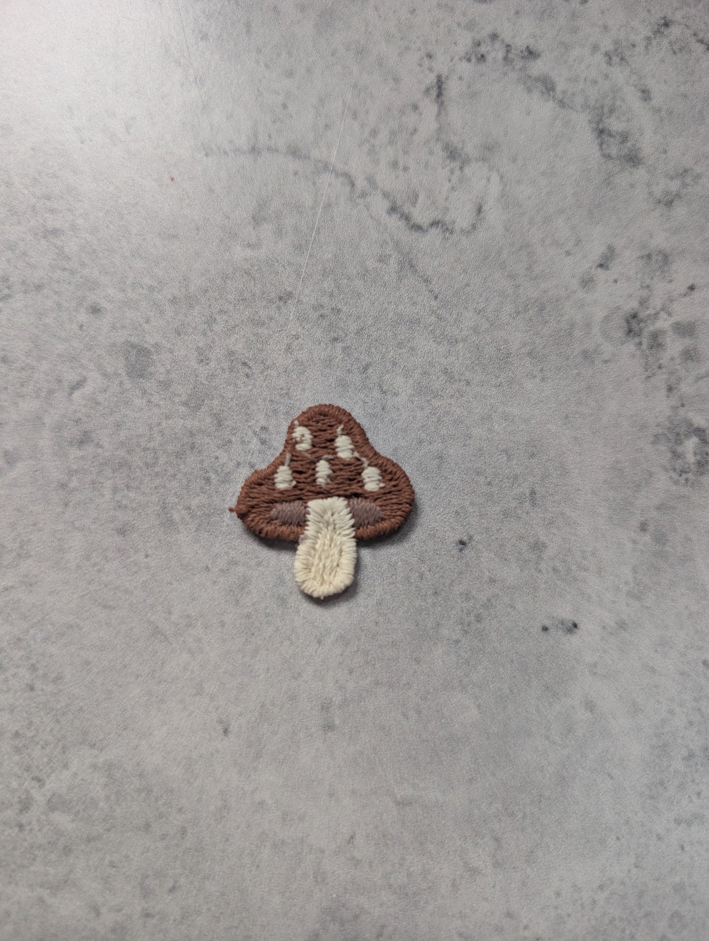 Petit champignon
