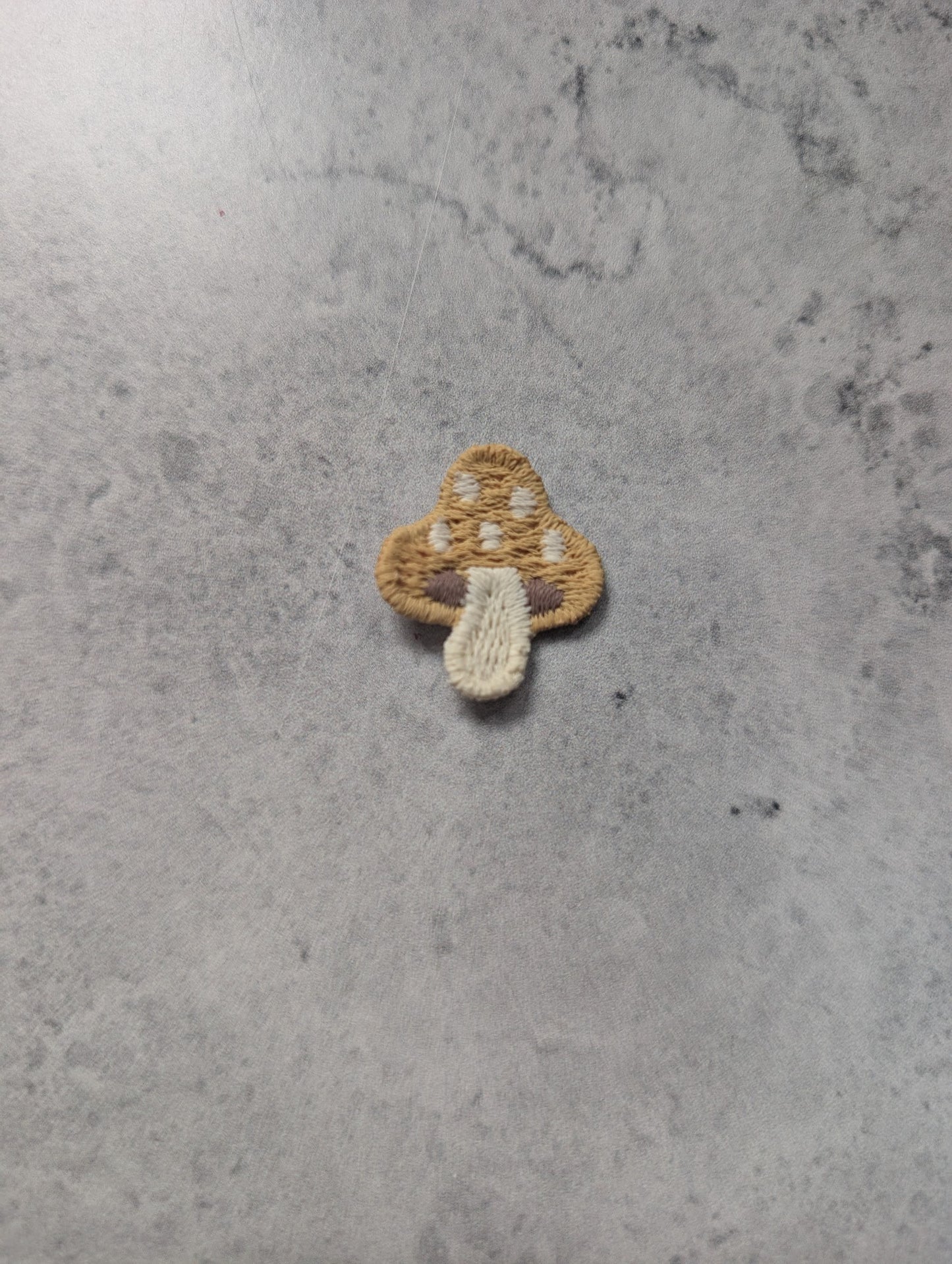 Petit champignon